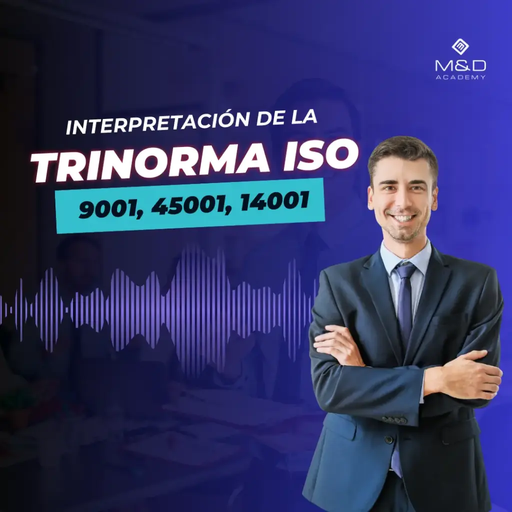 Curso de Interpretación y Auditores Internos de la Trinorma ISO 9001, ISO 45001, ISO 14001